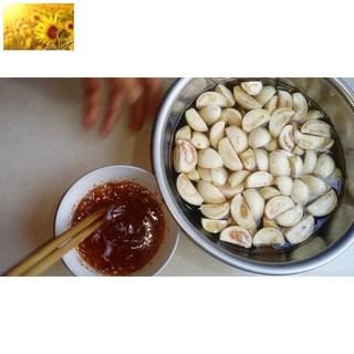 Hạt Giống Cà Pháo Trứng Trắng (20-30 Hạt) - Dễ Trồng, Năng Suất Cao - MUA 3 TẶNG 1 CÙNG LOẠI