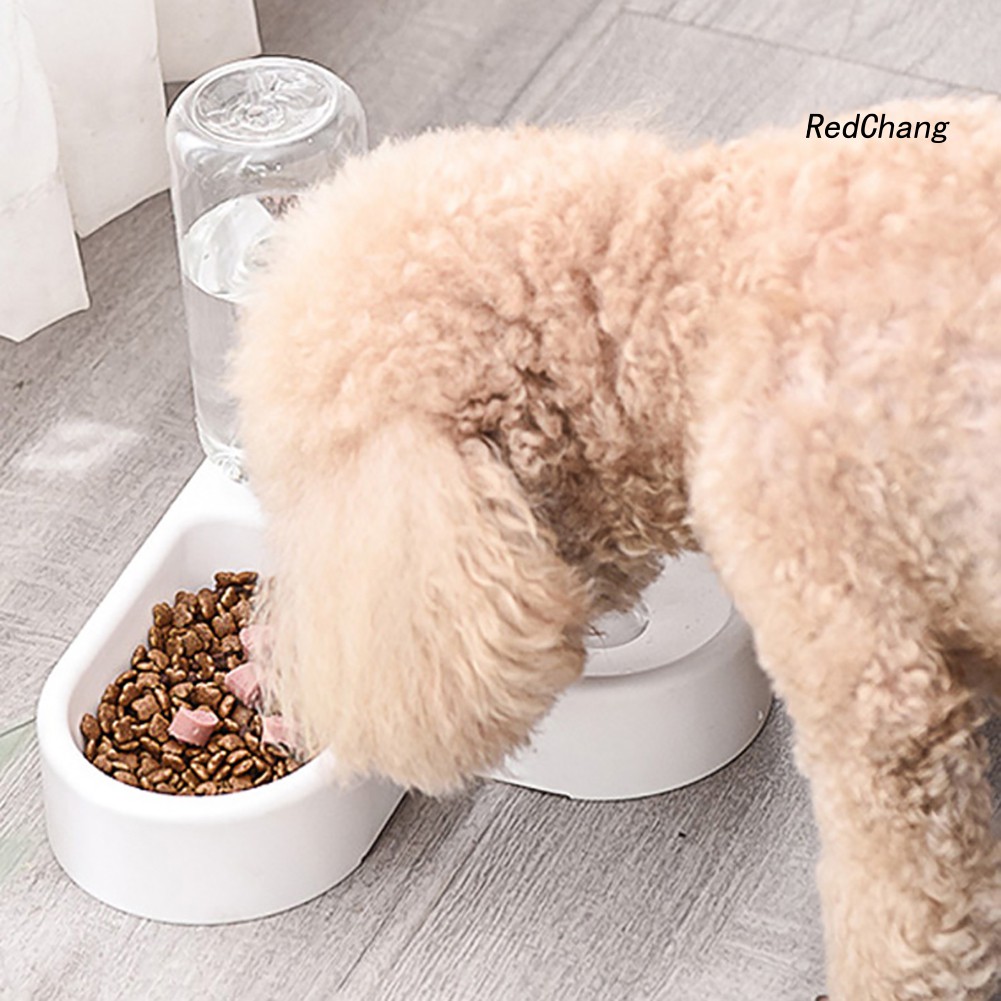 Bình Uống Nước Tự Động 500ml Cho Thú Cưng