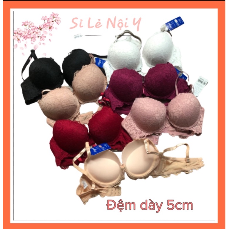 Áo Lót Nữ Nâng Dày Siêu Đẩy Đệm 5cm Có Gọng Mặc Áo dài hoặc pull ôm