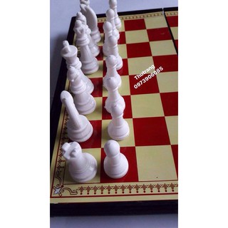 Cờ vua nam châm (KT 27cm x 27cm)