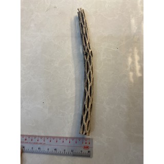 Lũa cholla (lũa xương rồng) cho thú cưng , tép cảnh , thủy sinh