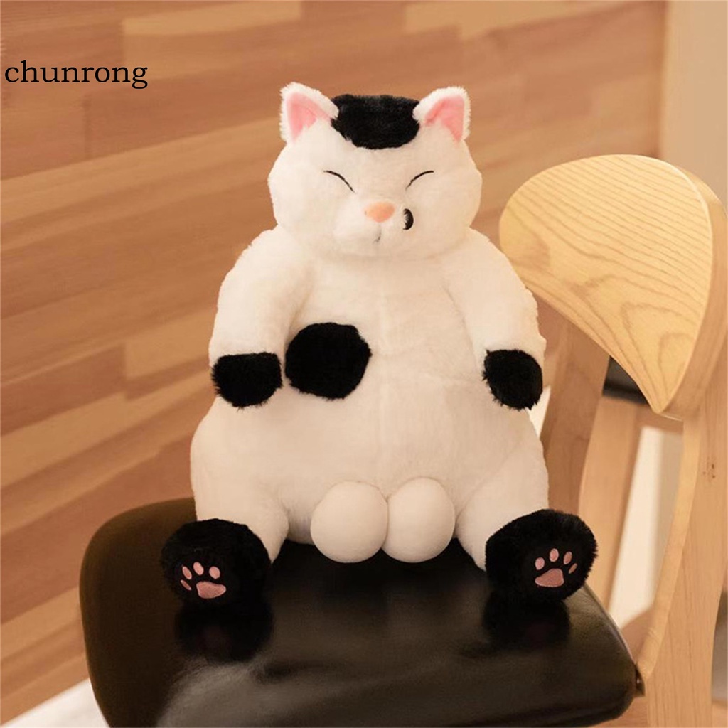 Đồ chơi chú mèo nhồi bông hoạt hình dễ thương chân thực sử dụng hàng ngày tiện lợi