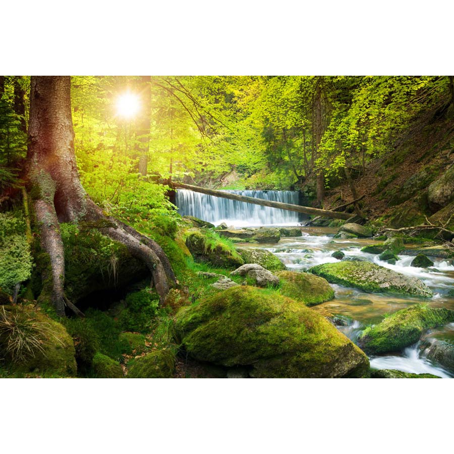 Tranh 3d thác nước chảy trong lành hiền hòa vô tình tạo ra bức tranh phong thủy vô cùng ngoạn mục