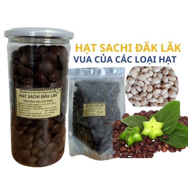 500gr Hạt Sachi Organic ĐăkLăk sấy chín, Hạt Sa chi Dak Lak đặc biệt ngon