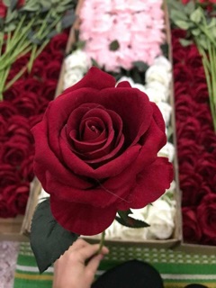 Hoa lụa giá hấp dẫn