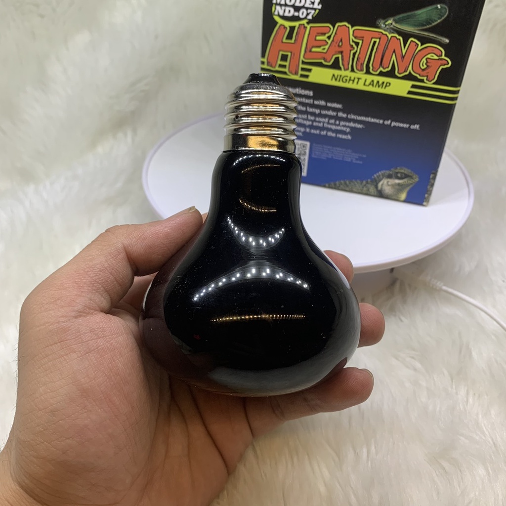 Đèn sưởi đêm dành cho thú cưng bò sát | Vietpetgarden