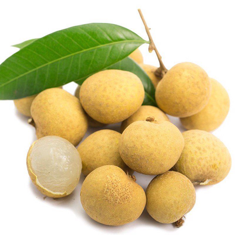 Nhãn xuồng cơm vàng