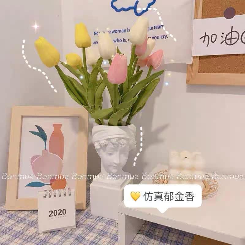 Hoa tulip phụ kiện chụp ảnh siêu xinh
