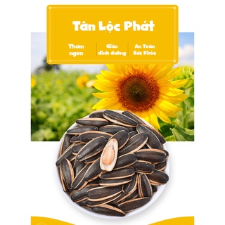Hướng dương vị Táo đỏ 🎁FREE SHIP🎁 gói 45g