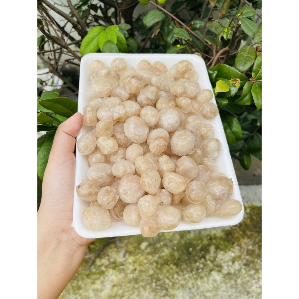 Giá Sỉ - Răng Mực Làm Sạch - Q12