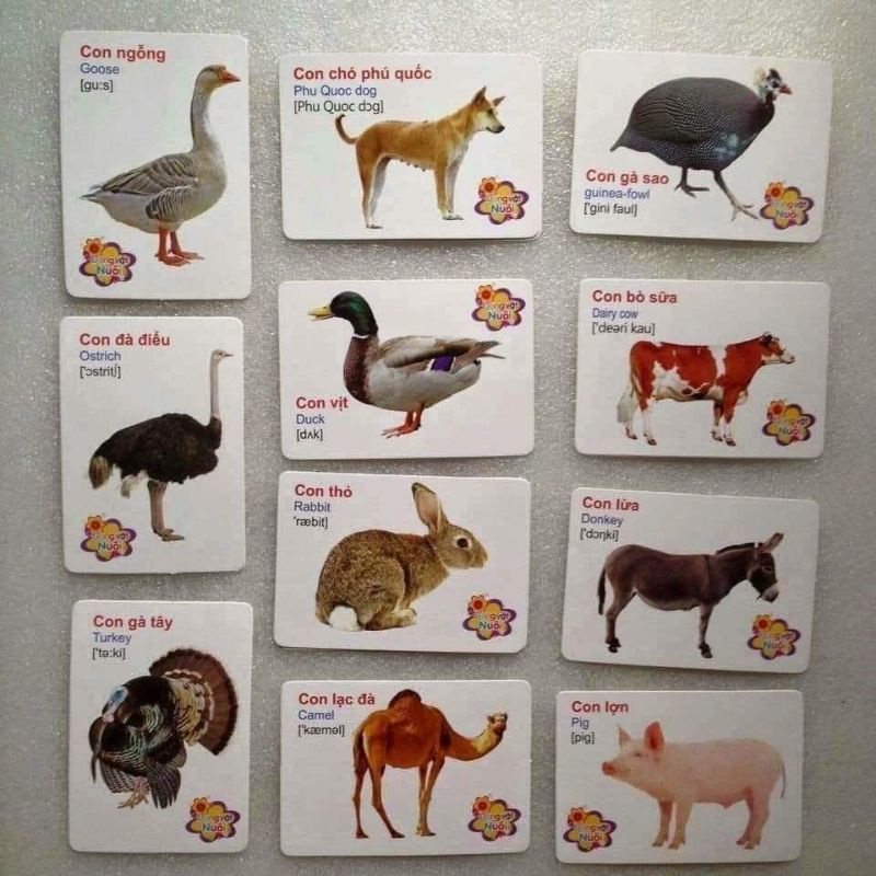 416 THẺ FLASH CARD THÔNG MINH CHO BÉ