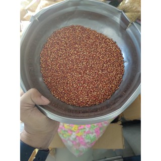Hạt Bobo Đỏ Thức Ăn Cho Chim, Pet, Hamster