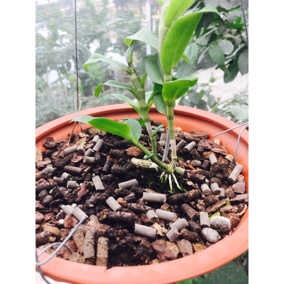 Phân trùn quế  hữu cơ sinh học dạng viên 800gr