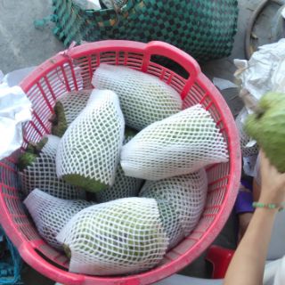 MỨT MÃNG CẦU
