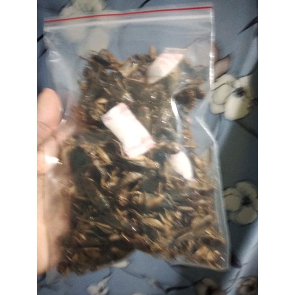 DẾ SẤY KHÔ 50 GRAM CHO THÚ CƯNG MÈO HAMSTER NHÍM KIỂNG CHIM...