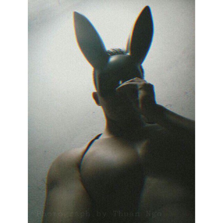 Mặt Nạ Cosplay Sexy Thỏ Tai Dài Màu Đen Halloween Hóa Trang Có Dây Đeo Quanh Đầu