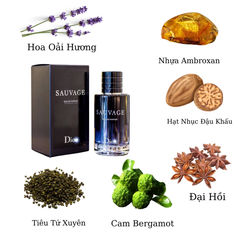 Nước hoa nam cao cấp Sauvager EDP lưu hương cực lâu, nước hoa cao cấp hàng AUTH