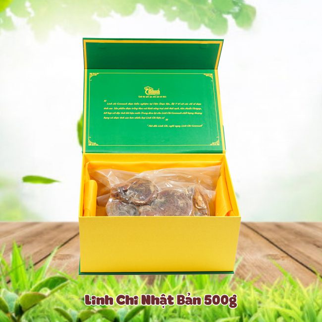 NẤM LINH CHI CENMUSH THƯỢNG HẠNG HỘP 500g- GIỐNG HỒNG CHI NHẬT BẢN