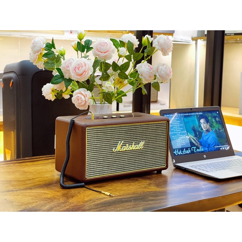 Loa Marshall Stanmore I