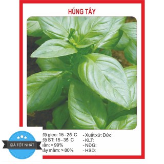 Hạt Giống Húng Tây - 0.5gram