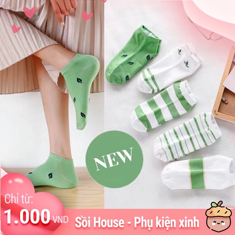 Tổng Hợp Các Mẫu Tất Dễ Thương Cute Bò Sữa,Bơ,Pastel,… Hàn Quốc Sồi House