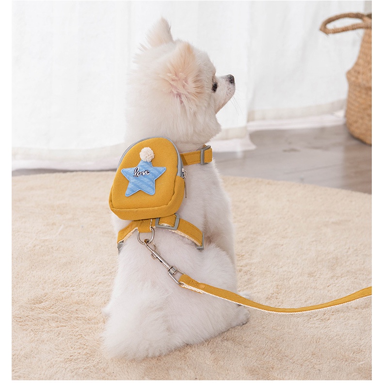 Dây Dắt Thú Cưng Đi Dạo Tiện Dụng