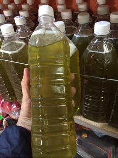 Mật ong bạc Hà Chuẩn ngon
