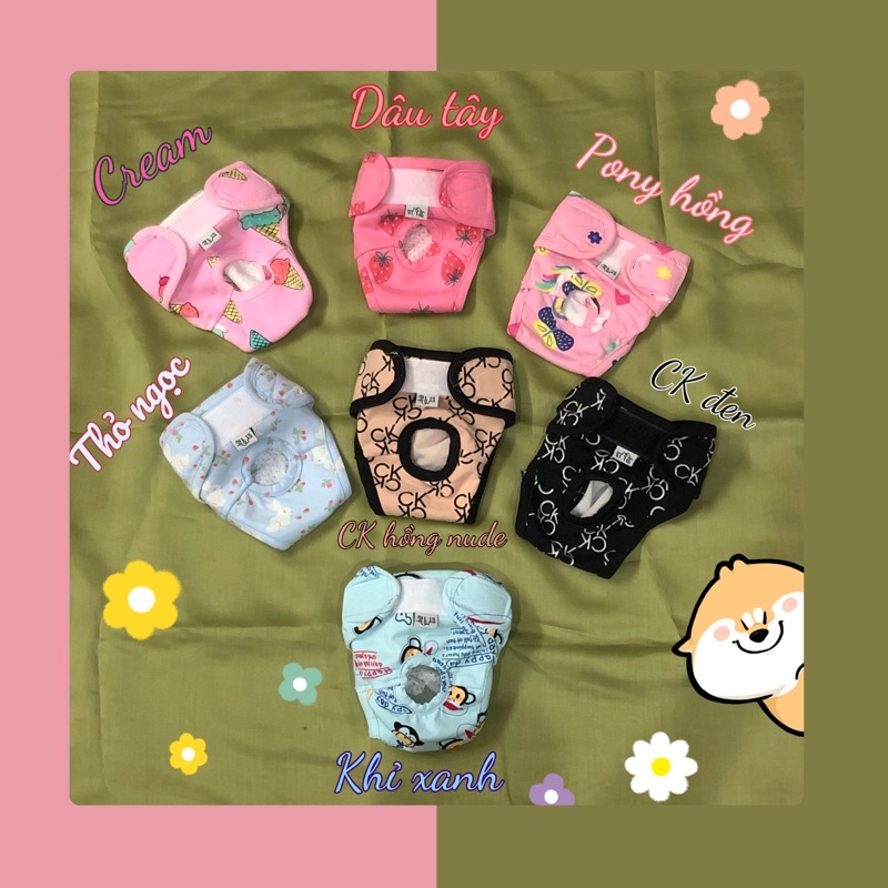 Quần sinh lý new-colors Titpet giành cho cún cái