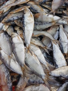 500gr khô cá trích