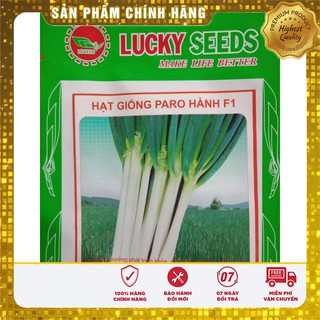 Hạt giống hành Paro F1 - 1gr