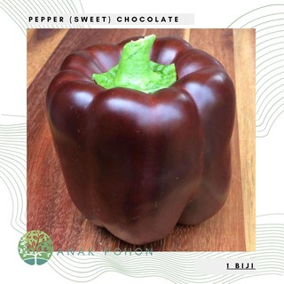 Ớt sôcôla paprika hạt ớt chuông sôcôla - nhập khẩu 15h