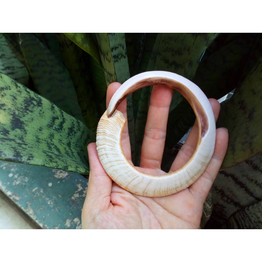 Vòng đeo tay nanh mỹ nghệ