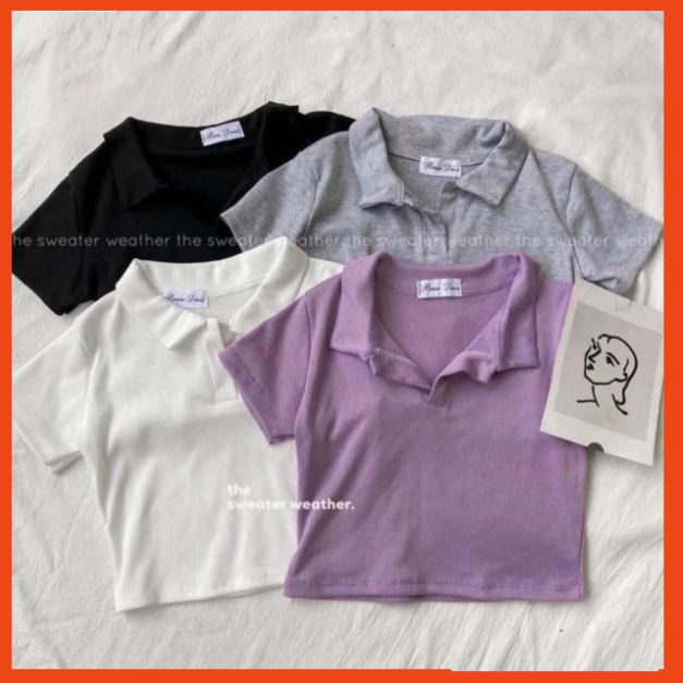 [Giá Xưởng] Áo Croptop Polo Cộc Tay Nữ , Cổ Bẻ Chất Thun Gân 3 Màu B003 Thời Trang | BigBuy360 - bigbuy360.vn