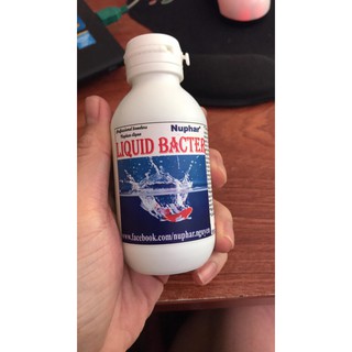 Liquid bacter - dung dịch chống sốc nước cho cá