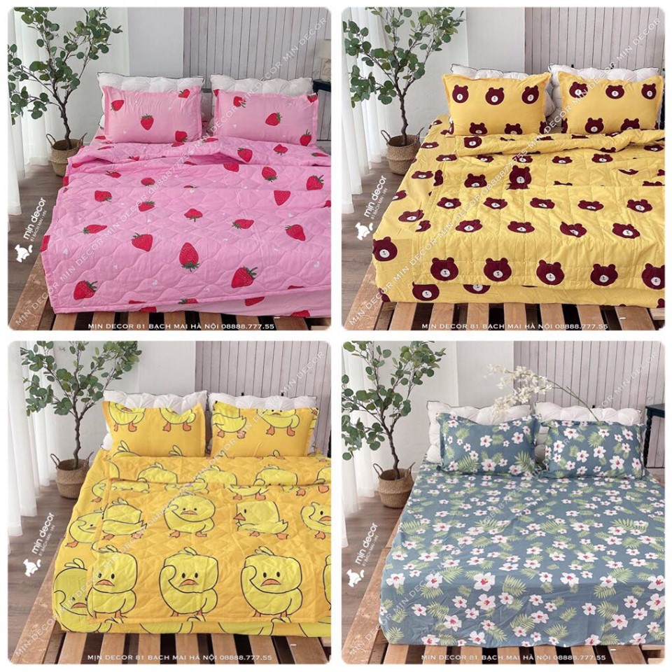 Bộ ga giường cotton 3D, bộ drap giường mát mịn mềm mại bo chun miễn phí