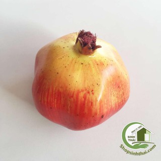 Trái lựu giả - trái cây giả cao cấp