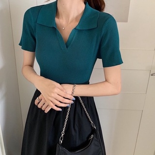 Áo polo montoghi trơn