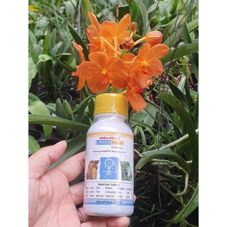 Phân bón amino alexin chai 100ml - chuyên thối lá -mai huy