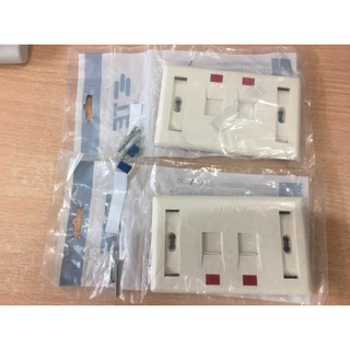 Mặt chữ nhật 2 cổng Commscope AMP và 2 nhân mạng