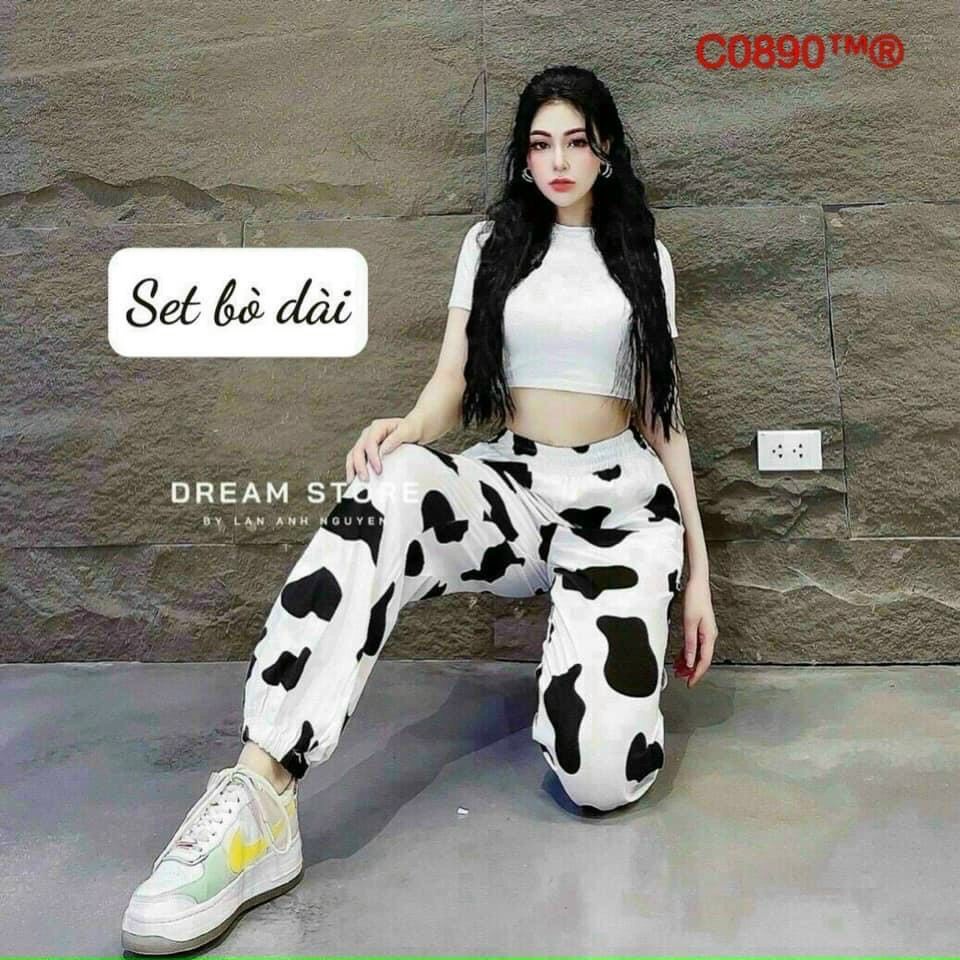 sét bộ joger bò dài