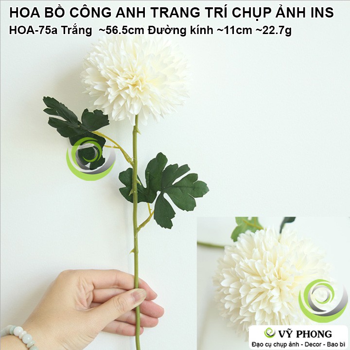 HOA BỒ CÔNG ANH TRANG TRÍ ĐÁM CƯỚI ĐẠO CỤ CHỤP ẢNH SẢN PHẨM INS HOA-75