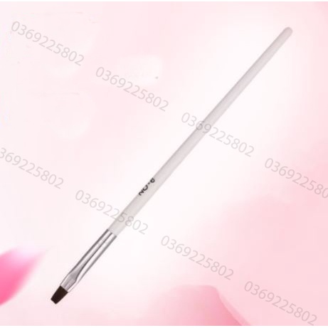 Cọ vẽ bản , đắp gel trang trí móng