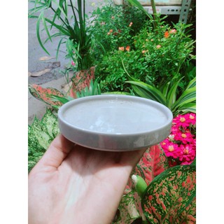 Đĩa Lót Chậu (đường kính 12cm)