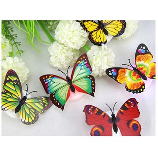 Đèn Led trang trí giáng sinh hình bướm E003