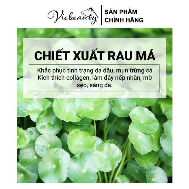 [Mã COS1904 giảm 8% đơn 300K] Kem Dưỡng Làm Dịu Da Skin1004 Madagascar Centella Soothing Cream 75ml - Viebeauty | BigBuy360 - bigbuy360.vn