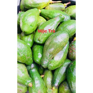Serum tinh chất bơ Handmade Mộc Trà