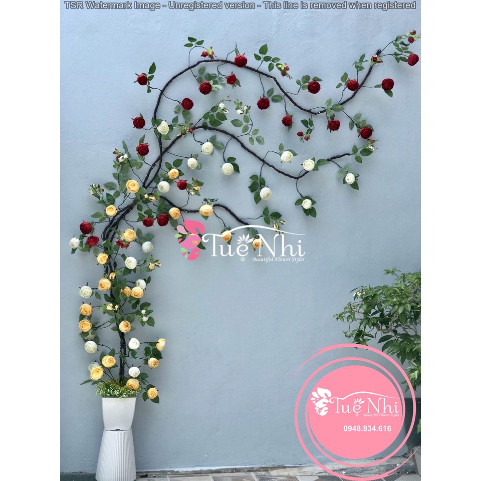 Dây Hoa Hồng Trà Leo Cổ 3m, 20 Hoa,8 Nụ ,Hàng Xịn - Dây Hoa Gỉa , Dây Rừng Thật 99%.