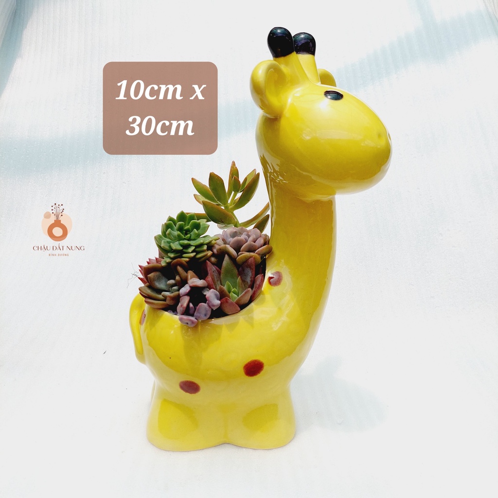 Chậu men, Chậu sen đá Bình Dương - Hươu con mũm mĩm, miệng chậu 10cm, chiều cao 30cm