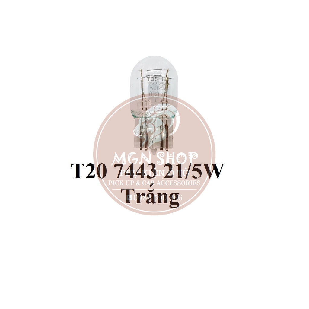 Đèn [Toshiba Halogen] [3200K] [T10 / T16 / T20 7440 / T20 7443] [01 bóng/bộ]