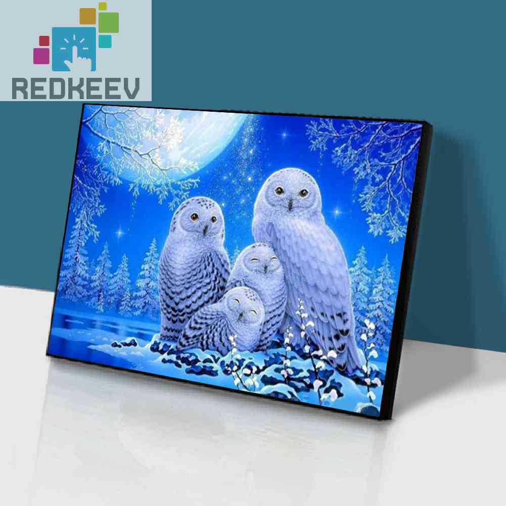 Bộ Tranh Đính Đá 5D Tự Làm Toàn Diện Hình Chim Cú Trắng